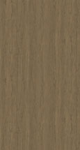 Salt Of The Earth Swatch